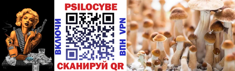 продажа наркотиков  Ртищево  OMG ссылки  Псилоцибиновые грибы прущие грибы 