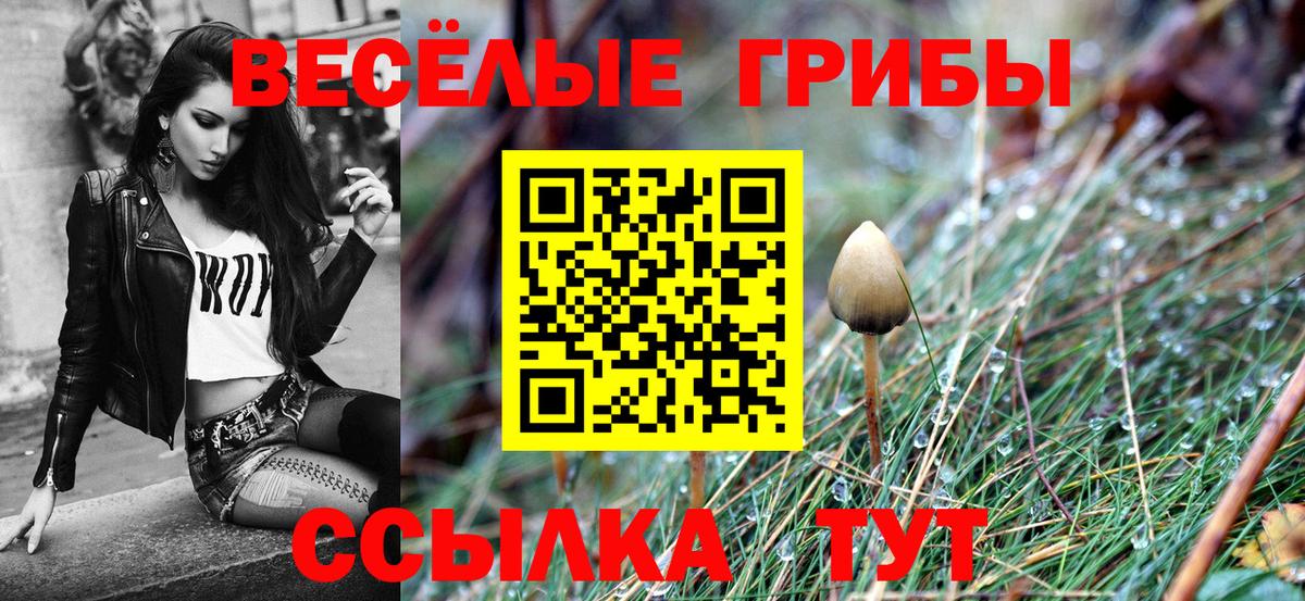 Псилоцибиновые грибы мухоморы  купить закладку  Ртищево  Вход с VPN 