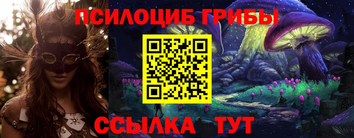 Псилоцибиновые грибы Magic Shrooms  Ртищево 