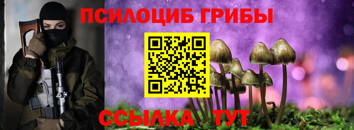 Псилоцибиновые грибы Psilocybe Ртищево